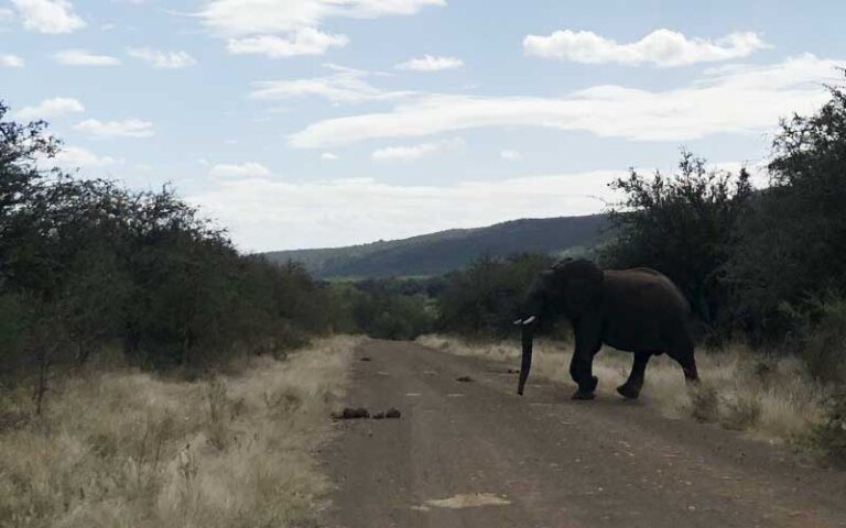 Limpopo Attractions